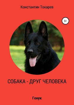 Читать онлайн книгу Собака – друг человека автор Токарев Константин Книга Собака – друг человека