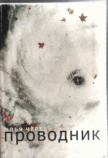 Книга Проводник