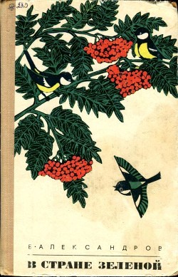 Книга В стране зеленой