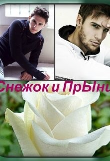 Читать онлайн книгу Снежок и Прынц (СИ) автор Финенко Наталья Александровна Книга Снежок и Прынц (СИ)