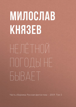 Книга Нелётной погоды не бывает