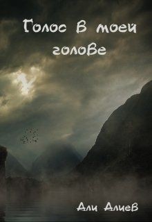 Читать онлайн книгу Голос в моей голове (СИ) автор Алиев Али Книга Голос в моей голове (СИ)