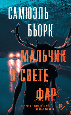 Книга Мальчик в свете фар