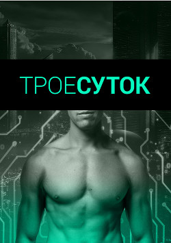 Читать онлайн книгу Трое суток (СИ) автор Михлин Наташа Книга Трое суток (СИ)