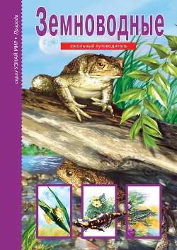 Книга Земноводные