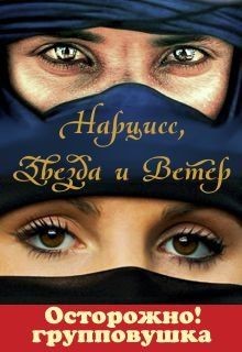 Читать онлайн книгу Нарцисс, Звезда и Ветер (СИ) автор Бересклет (Клименкова) Антонина Книга Нарцисс, Звезда и Ветер (СИ)