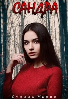 Книга Сандра (СИ)