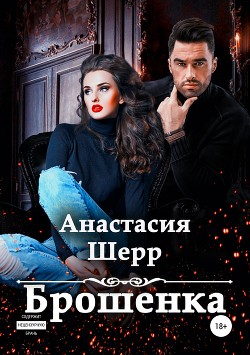 Читать онлайн книгу Брошенка автор Шерр Анастасия Книга Брошенка