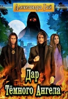 Книга Дар Тёмного Ангела (СИ)