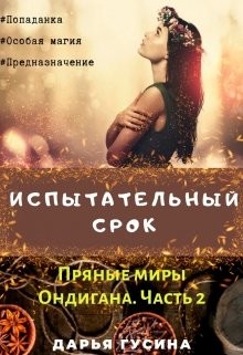Читать онлайн книгу Испытательный срок. (СИ) автор Гусина Дарья Книга Испытательный срок. (СИ)