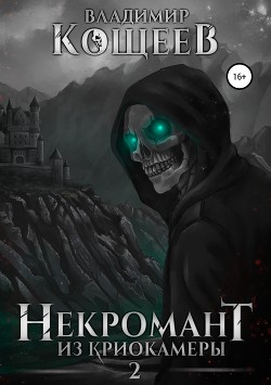 Читать онлайн книгу НиК 2 (СИ) автор Кощеев Владимир Книга НиК 2 (СИ)