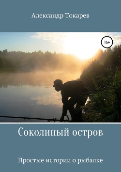Читать онлайн книгу Соколиный остров автор Токарев Александр Книга Соколиный остров