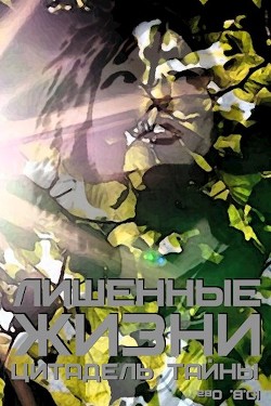 Читать онлайн книгу Цитадель тайны (СИ) автор Ова Юля Книга Цитадель тайны (СИ)