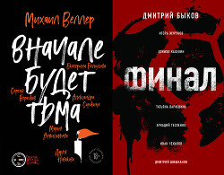 Книга Вначале будет тьма // Финал