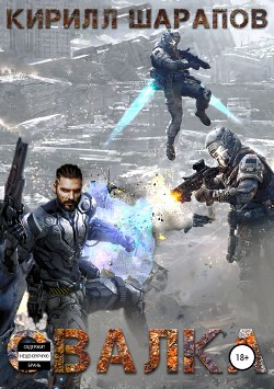 Книга Свалка (СИ)