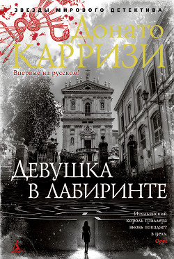 Книга Девушка в лабиринте