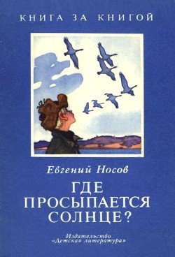 Читать онлайн книгу Где просыпается солнце? (Рассказы) автор Носов Евгений Иванович Книга Где просыпается солнце? (Рассказы)
