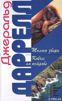 Книга Ковчег на острове