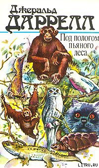 Читать онлайн книгу Под пологом пьяного леса автор Даррелл Джеральд Книга Под пологом пьяного леса