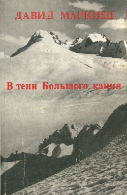 Книга В тени Большого камня (Роман)