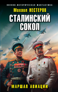 Читать онлайн книгу Сталинский сокол. Маршал авиации автор Нестеров Михаил Петрович Книга Сталинский сокол. Маршал авиации