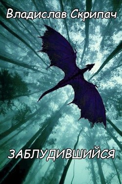 Книга Заблудившийся (СИ)