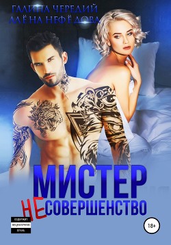 Книга Мистер Несовершенство