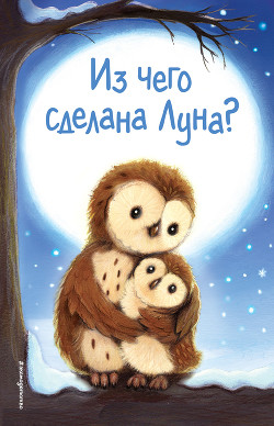 Книга Из чего сделана Луна?