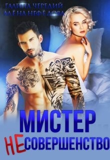 Книга Мистер Несовершенство (СИ)