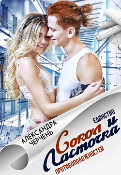 Книга Сокол и Ласточка