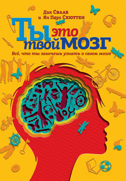 Читать онлайн книгу Ты это твой мозг: Всё, что ты захочешь узнать о своем мозге автор Свааб Дик Книга Ты это твой мозг: Всё, что ты захочешь узнать о своем мозге