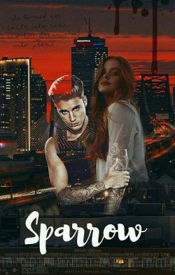 Читать онлайн книгу Sparrow (ЛП) автор Книга Sparrow (ЛП)