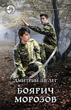 Книга Боярич Морозов (СИ)