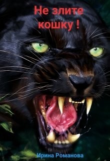 Читать онлайн книгу Не злите кошку! (СИ) автор Романова Ирина Книга Не злите кошку! (СИ)