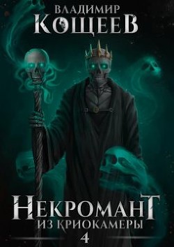 Читать онлайн книгу Н из К 4 (СИ) автор Кощеев Владимир Книга Н из К 4 (СИ)