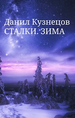 Книга Сталки. Зима (СИ)