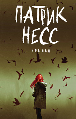 Книга Крылья