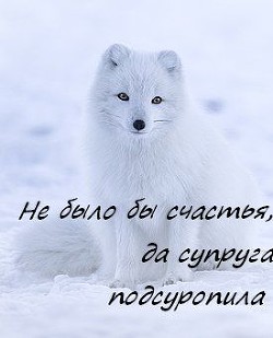 Читать онлайн книгу Не было бы счастья, да супруга подсуропила автор Заверин Стэн Книга Не было бы счастья, да супруга подсуропила