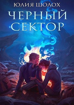 Книга Чёрный сектор (СИ)