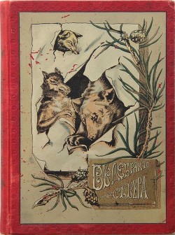 Книга В дебрях Севера (Приключения волка, медведя и лисицы)