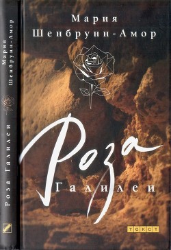 Читать онлайн книгу Роза Галилеи автор Шенбрунн-Амор Мария Книга Роза Галилеи