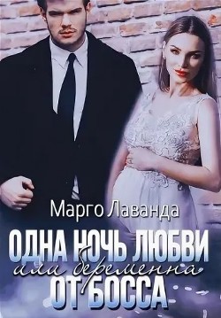 Читать онлайн книгу Одна ночь любви, или Беременна от босса (СИ) автор Лаванда Марго Книга Одна ночь любви, или Беременна от босса (СИ)