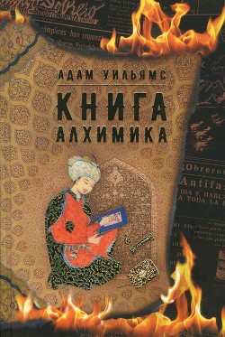 Книга Книга алхимика (Роман)