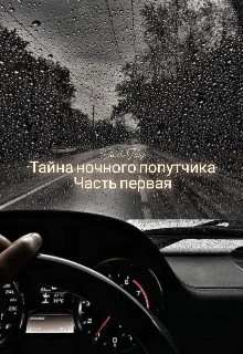 Читать онлайн книгу Тайна ночного попутчика (СИ) автор Фэй Влади Книга Тайна ночного попутчика (СИ)