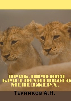 Читать онлайн книгу Приключения бриллиантового менеджера (СИ) автор Терников Александр Николаевич Книга Приключения бриллиантового менеджера (СИ)