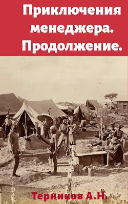 Читать онлайн книгу Приключения менеджера. Продолжение (СИ) автор Терников Александр Николаевич Книга Приключения менеджера. Продолжение (СИ)