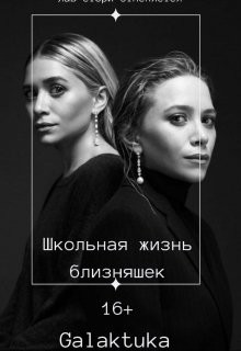 Книга Школьная жизнь близняшек (СИ)