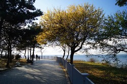 Книга Ждать у моря погоды