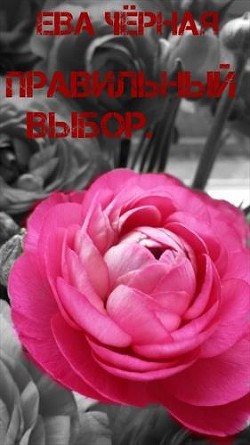 Книга Правильный выбор (СИ)