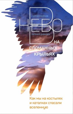 Книга В небо на сломанных крыльях. Как мы на костылях и каталках спасали Вселенную